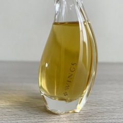 ☆お値引可能☆【残量7割程】GIORGIO BEVERLY HILLS WINGS(50ml)の画像