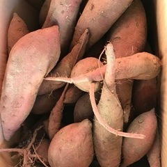 さつまいも 2kg　シルクスイート　新物 農家直送 2kg  紅はるかの画像