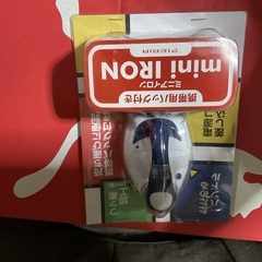 お話中　ミニアイロンとアイロン代の画像