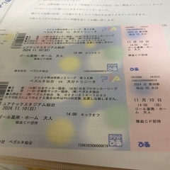 ベガルタ仙台 vs スタジアム仙台 チケット