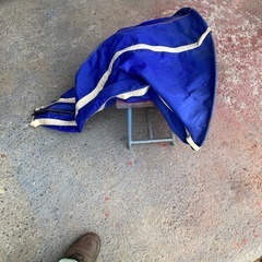 シーアンカーの画像