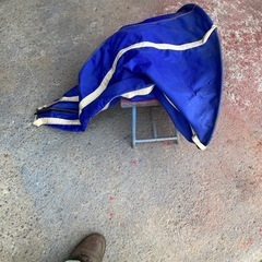 シーアンカーの画像