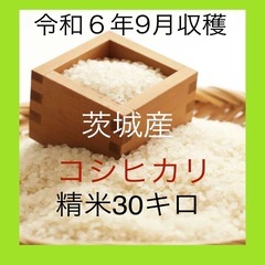 茨城県 つくば市の30キロの中古が安い！激安で譲ります・無料で