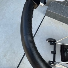 交渉中【限定品】cybex PLATINUM ミオス KOI CRYSTAL AB型ベビーカーの画像