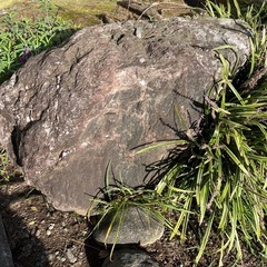 庭石貰ってください！（種類様々）の画像