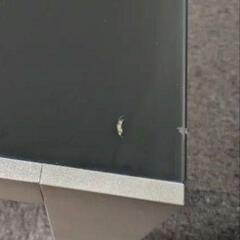 【引取者決定】伸長式ダイニングテーブル　モダンスタイル　ホテルライク　の画像