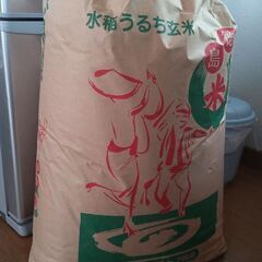 非食用☆4～5年前くらい？古々々米/玄米30キロ