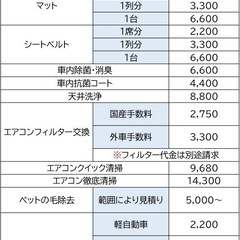 出張車内清掃　車内の臭い、汚れ、嘔吐、オシッコ、粗相等でお困りの方 - 便利屋