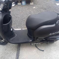 ホンダ　ジョルノ　AF70の画像