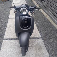 ホンダ　ジョルノ　AF70