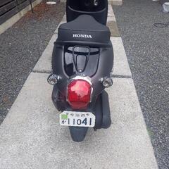 ホンダ　ジョルノ　AF70の画像