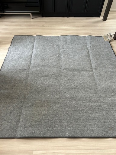 【美品】National電気カーペット