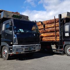 ホームページを作成して頂けませんか？【企業】【運送会社】の画像