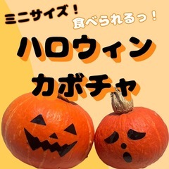 ハロウィンカボチャ･食用･ミニサイズ･可愛い･イベント