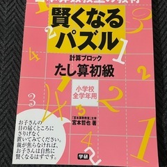 賢くなるパズル 計算ブロック　たし算初級
