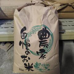 令和5年度ヒノヒカリ　白米10キロ