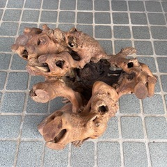 流木 木の根っこ オブジェ インテリアの画像