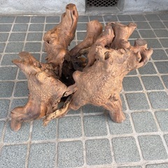 流木 木の根っこ オブジェ インテリアの画像