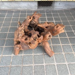 流木 木の根っこ オブジェ インテリアの画像