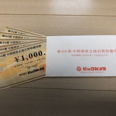 ビックカメラ株主優待5000円分