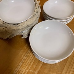 トールペイントや水彩画のトキ皿8.５　14枚の画像