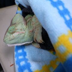 💎📢単発！短期！長期！🌙夜勤！やりたい日だけシフトイン❗ガッツリ...