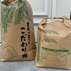 ウマい!! お米 令和6年 新米 静岡産 15キロ 白米