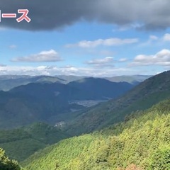 京都観光ハイキング♪さこさんツアー(11月予定) − 京都府