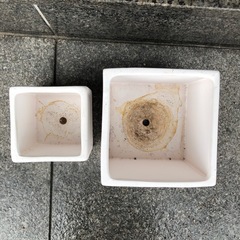 ホワイトスクエア植木鉢2個セットの画像