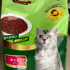 キャットフード8キロ　エイプロ　まぐろ