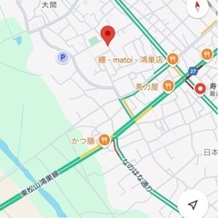 迷い犬