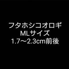 フタホシコオロギ MLサイズ