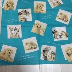 犬＆猫の絵柄 ハンカチ(57cm角・未使用品)