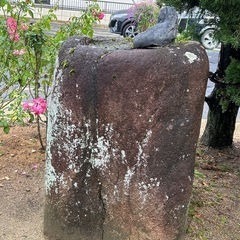 庭石　庭　石　庭園　灯籠　の画像