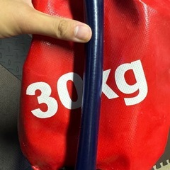 ブルガリアン　サンドバッグの画像