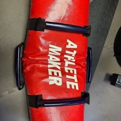 ブルガリアン　サンドバッグの画像