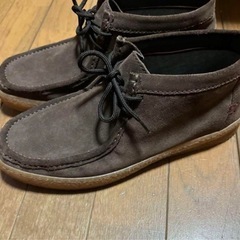 ステスァノロッシ今日だけ
の画像