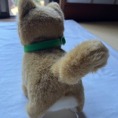 柴犬ケン太　おもちゃ　動くの画像