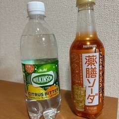 ソーダとジンジャエール計5本！