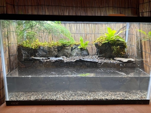 水の流れる滝テラリウム水槽　60センチ　イワヒバ