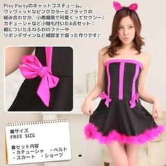 コスプレ2点セットの画像