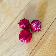 ローゼル　種　種子  の画像