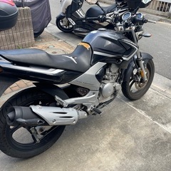 ybr250 ヤマハの画像