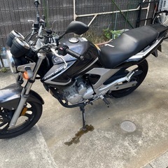ybr250 ヤマハの画像