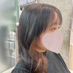 カットモデル募集中