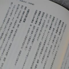 真説紫微斗数占術奥義 苔峰洞人先生②の画像