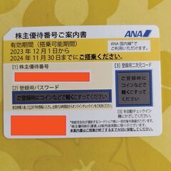 ANA株主優待券 １枚　有効期限：2024年11月30日まで