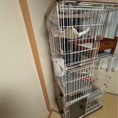 猫ゲージ　備品つき　　きれい