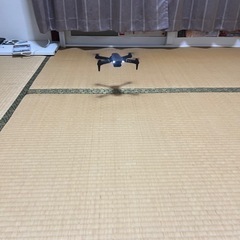 flycam dual cameraの画像
