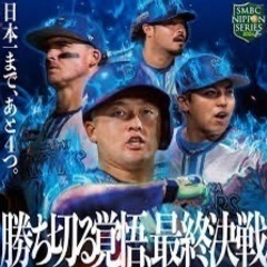 日本シリーズ！横浜(ホーム)vsソフトバンクパブリック観戦！